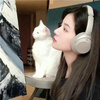 吞天记